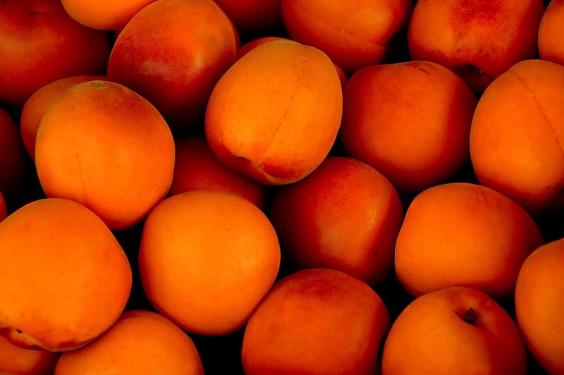 Mystic Bounty